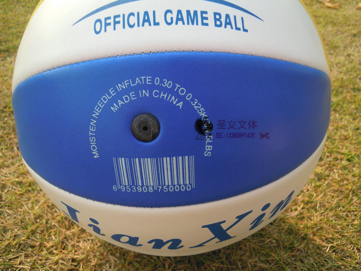 Ballon de volley - Ref 2012842 Image 5