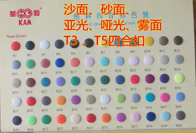 Hualian T5 12 4mm environmental protection plastic frosted matte sand surface four-fit button dark button snap button 1000 set