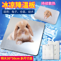Rabbit Cooling Board Drop Summer Dragon Cat Hamster Summer Summer Heat Dissipation Plate Heatstroke Mat Mat Cool Mat Pet Ice Cold Plate Aluminum Plate