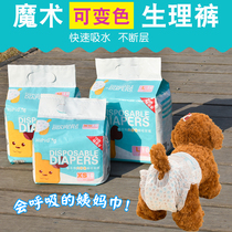 Pooch Physipants Women Teddy Bib Bear Paper Pee Pants Pet Urine Not Wet Safety Briefs Mother Dog Aunt scarf Anti-Harassment