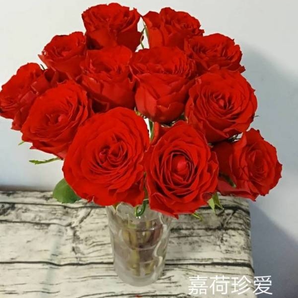 High Quality Lotus Crown Jia Rose Fresh Vase Flower Arrangement Lover Courtship Lovers of Wedding Flowers with Long and Fly Shipping 