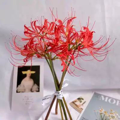 The other side Flower mandala flower He Lan imported garlic flower lover confession Fresh Cut National Express flowering period Shunfeng