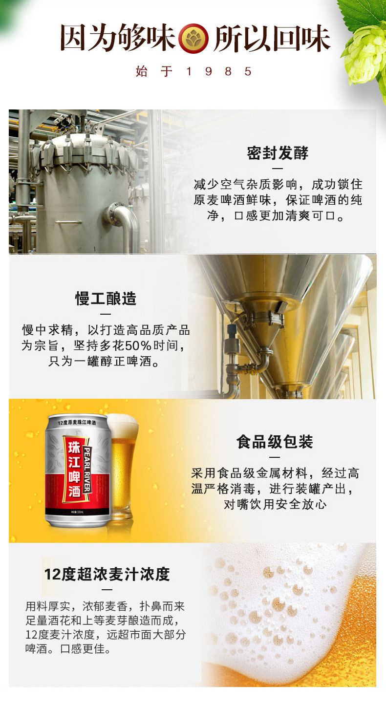 珠江啤酒 原麦老珠江 12度330mL*48罐 经典超够味 图4