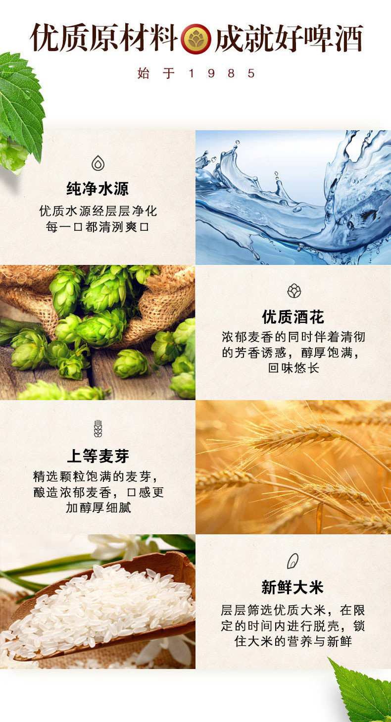 珠江啤酒 原麦老珠江 12度330mL*48罐 经典超够味 图5