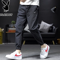 Playboy, мужские весенние штаны, свободный крой, в корейском стиле