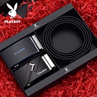 2024 Пояс +2042 головка пряжки