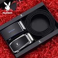 2024 Пояс +6090 головка пряжки