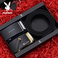 2024 Пояс +2047 Голова пряжки