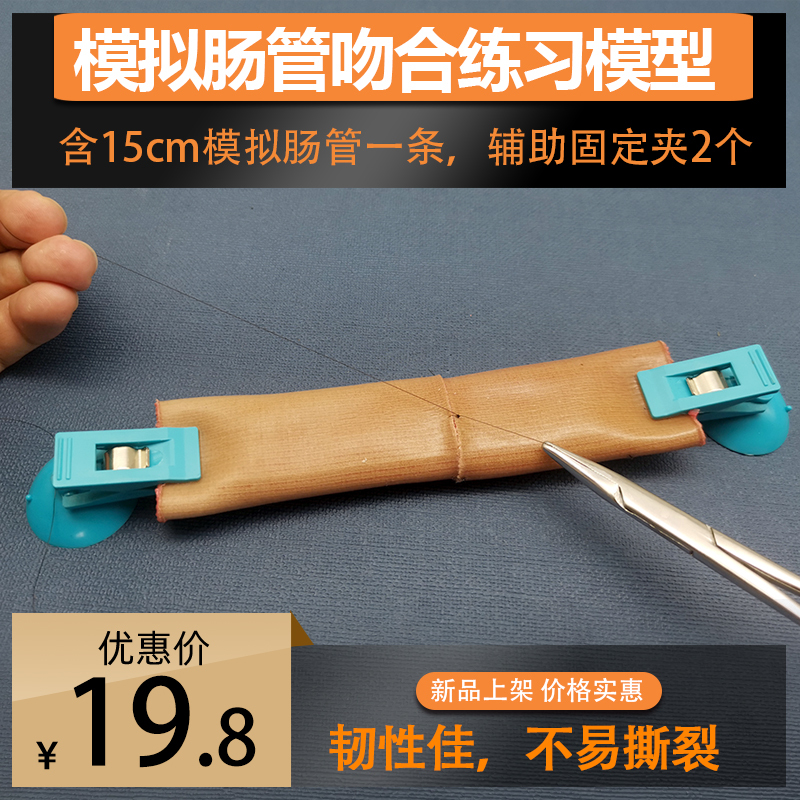 Laparoscopic Intestinal Tube End-To-End Anastomosis Suture Practice Surgery Simulation Training Intestinal Model Teaching Model