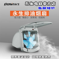 Yongsheng ventilation fan Kitchen special exhaust fume fan exhaust fan exhaust fan strong window type exhaust fan 10 inches