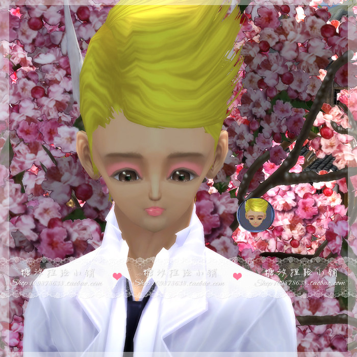 Perfect World to suit classic version of men's martial arts master's womanling plums FS WX MG MM 314