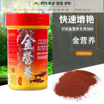 Golden Nutrition Lamp Corfish Fighting Fish Small Tropical Fish Nutrition Gain and Nourishing Micro-feed Cired Rohan goldfish fish food