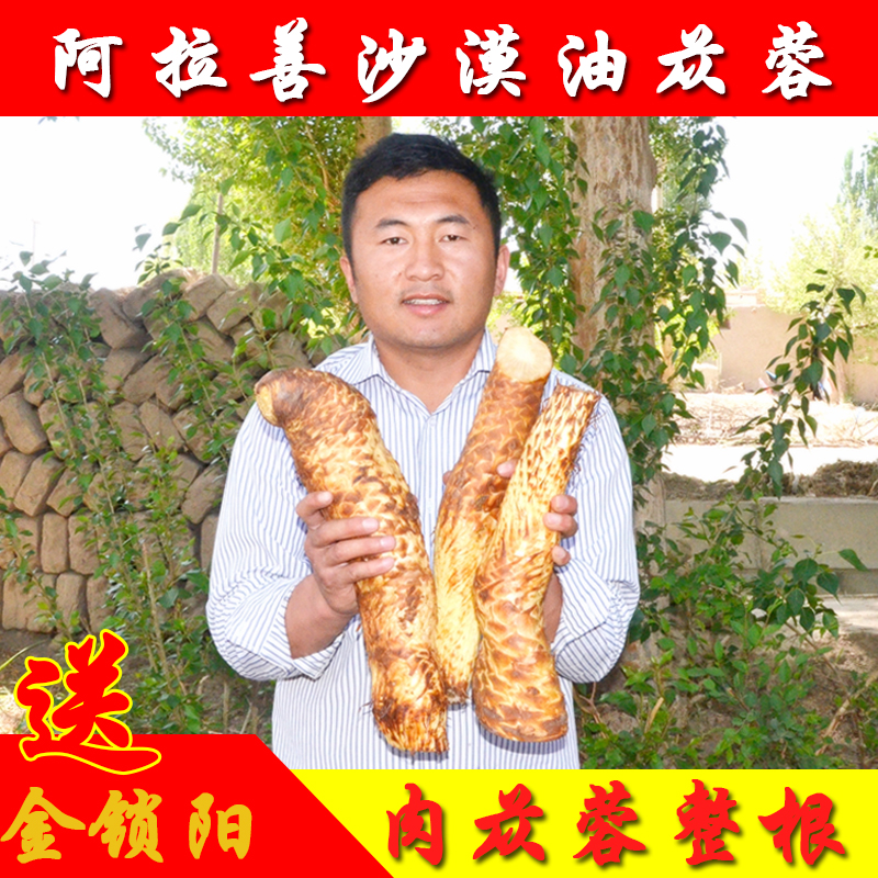 Men with 500g Inner Mongolia Alashen Yang Bubble Tea used non - Xinjiang desert oil circle to dry the whole root