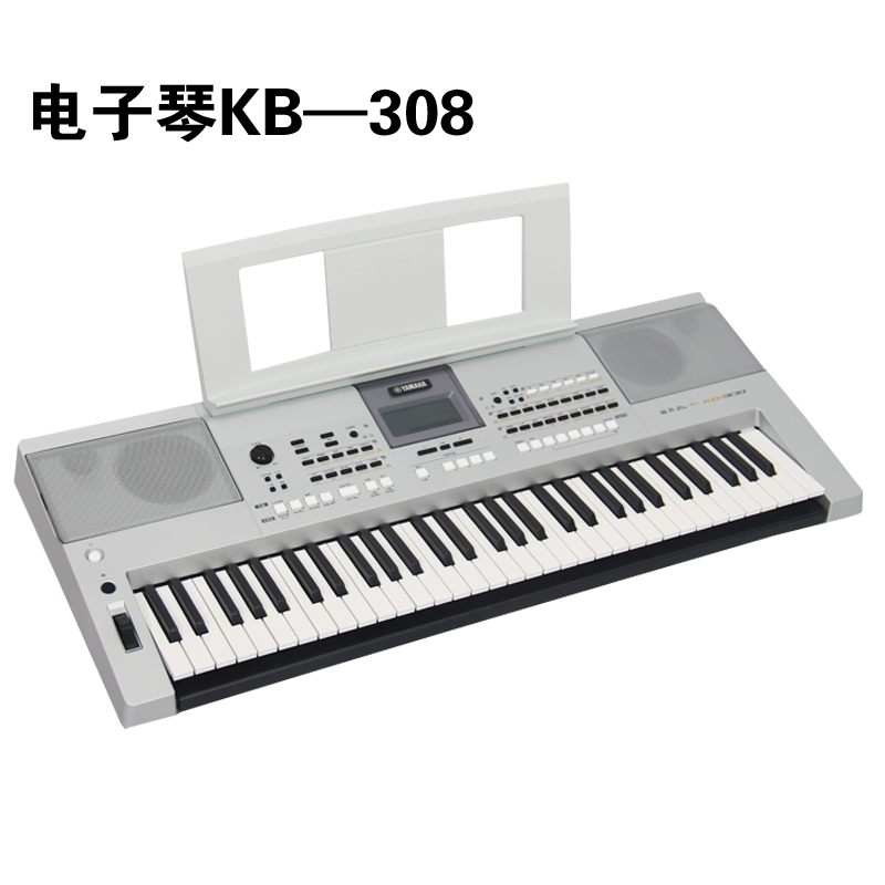 Mountain Leaf Electronic Organ KB308 KB308 KB290 KB291 KB291 Section KB309 Silver Edition Professional Appraisal Exam Begue