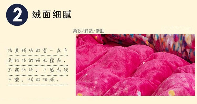 Lông lông bao gồm một mảnh mùa thu và mùa đông lông tơ 1,82,0 m san hô hai mặt nhung đôi cộng với nhung dày mùa đông ấm áp - Quilt Covers 	chăn phao mùa đông