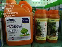 Strong rooting large trees transplanting small seedlings cutting fruit trees transplanting living fast rooting liquid large bottle 10kg