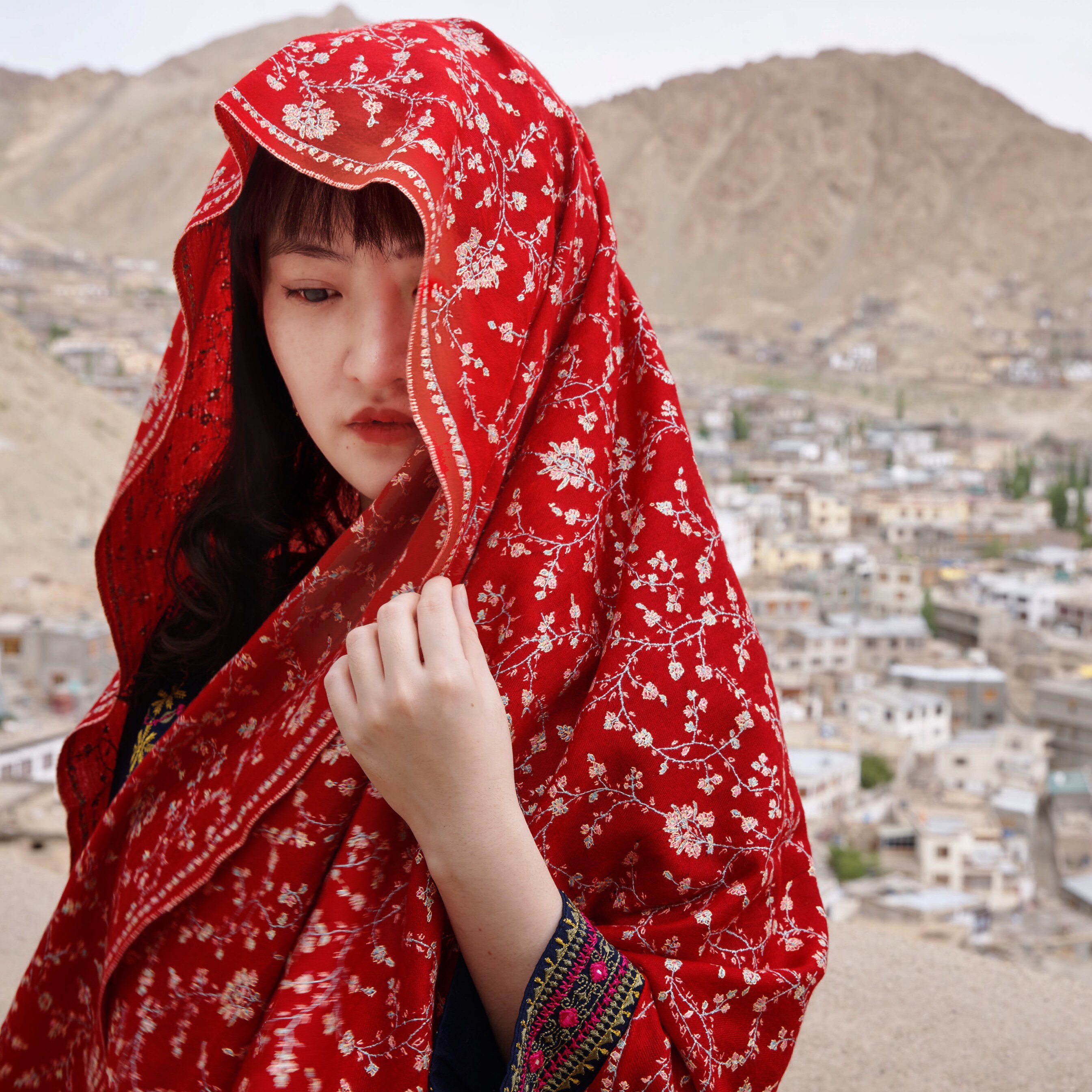 Pashmina Pashmina * Live Special shoot] Collector's grade Kashmir ring velvet scarf shawl