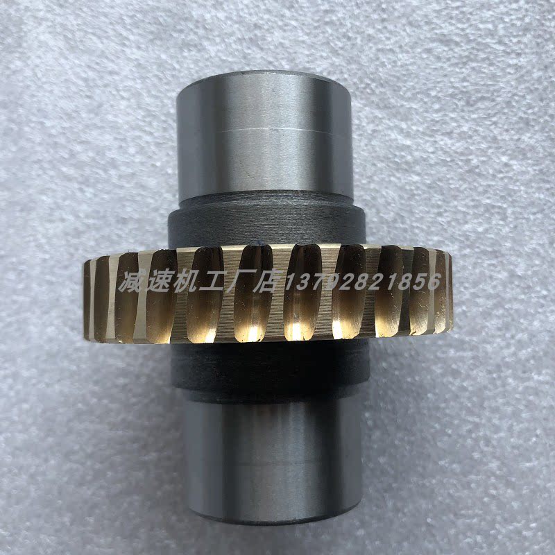 RV worm gear gearbox gearbox turbo turbo gear copper turbo copper gear