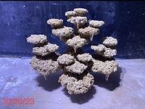 Sea-cylinder building with high temperature fired ceramic landscape Free of explosion Algae High Bacteria Rate Sea Cylinder Building of Storm Algae Series