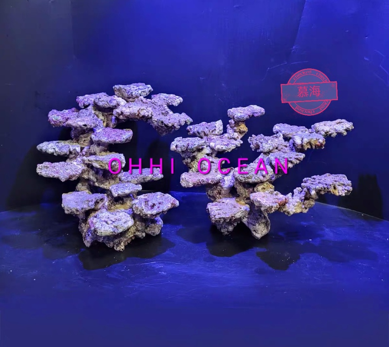 High-Calcium Deep-Sea Live Rock for Aquarium Landscaping, Algae-Free Live Rock for Small Aquarium Landscaping, Floating Landscaping Stone, Coral Stone