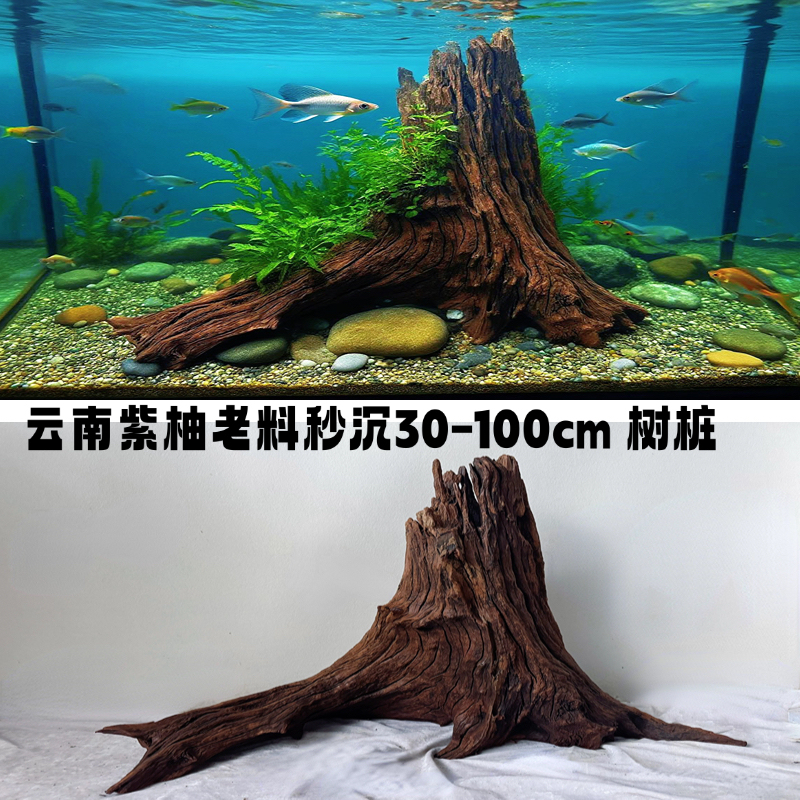 Fish-Pleasing Driftwood, Yunnan Purple Teak, Carbonized Black Old Wood, 30-100cm, Instantly Sinks into the Water