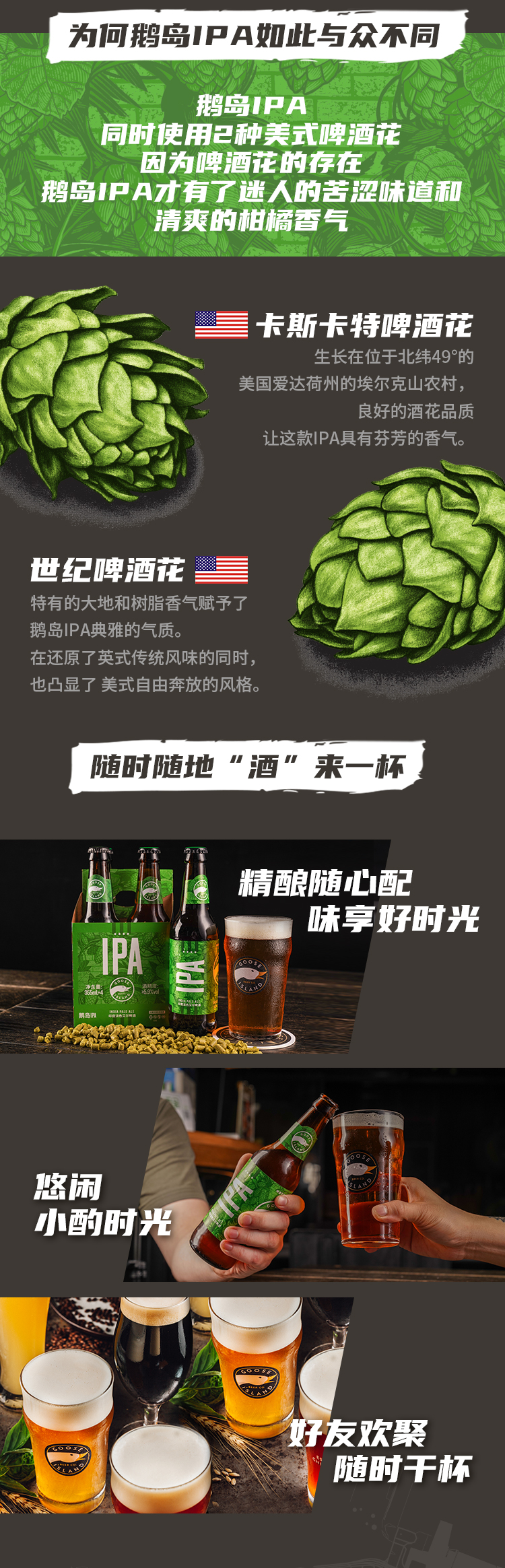 6获美国啤酒大奖 百威 鹅岛 IPA精酿啤酒 355ml*12瓶 图4