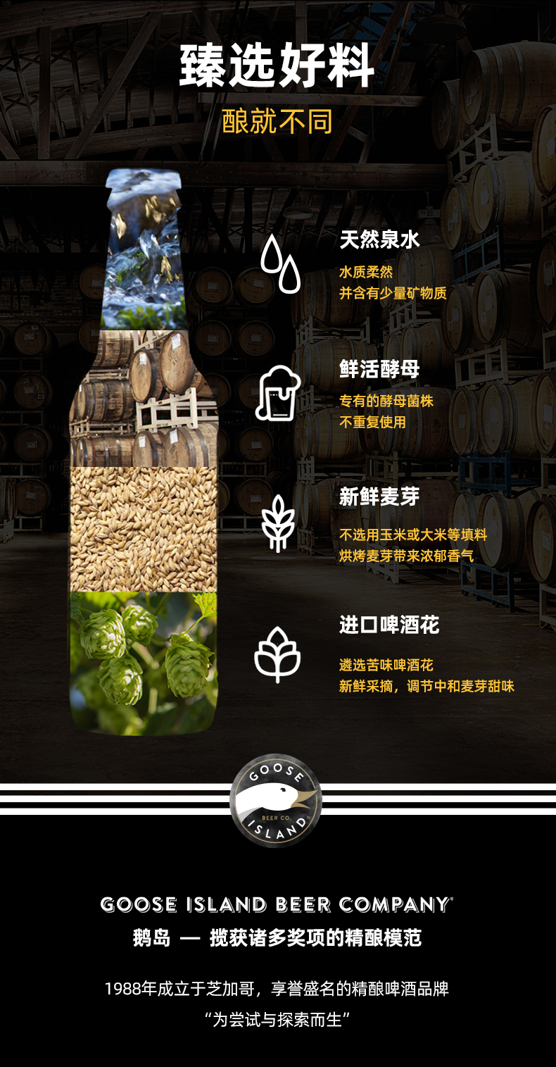 百威英博 GOOSE ISLAND 入门级精酿啤酒组合 355ml*12瓶 图2