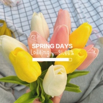 Photo Props Ins Tulips Tulip Emulation Flower Upscale Pu Living Room Furnishing Tabletop Pendulum With Decorative Fake Flowers