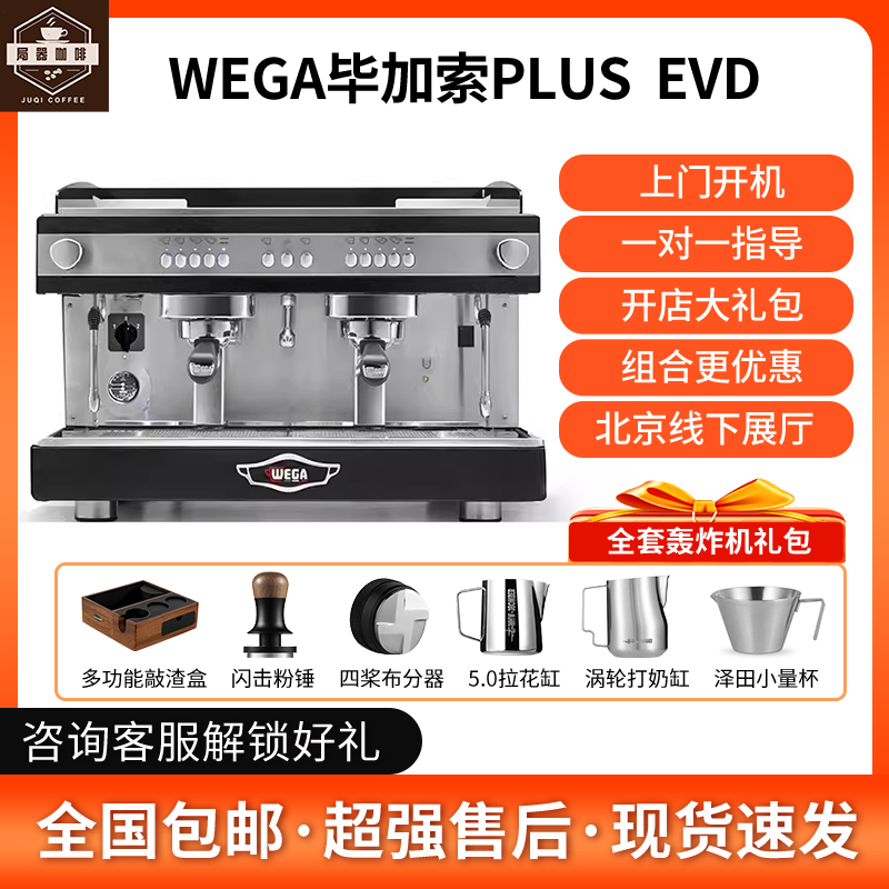 Wegaplus Picasso Coffee Machine E61 Single/Double Head Semi-Automatic Electronically Controlled Commercial Pre-Infusion 4-Hole Steam