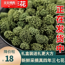 Panax notoginseng flower Yunnan Wenshan super authentic natural four years new Panax tea 500 grams