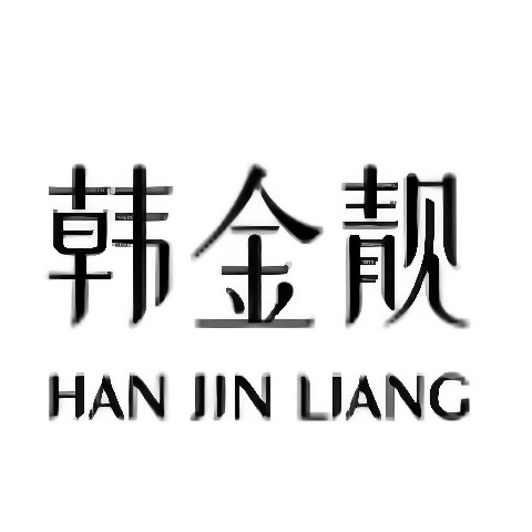 韩金靓麒舰店的LOGO
