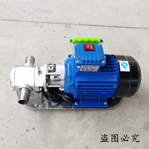 Thin oil section WCB-50 30 75 gear oil pump portable portable gear oil pump cast iron pump complete machine stainless steel
