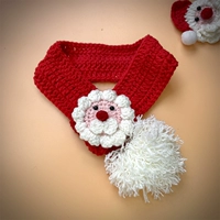 Красный шарф