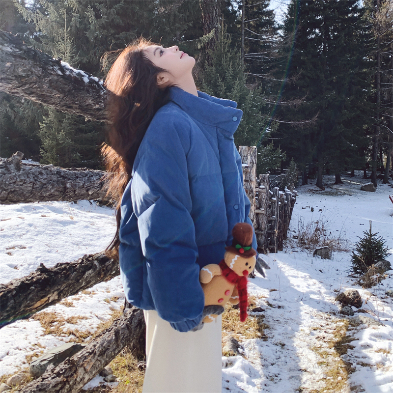 Klein Blue Stand-Collar down Cotton Jacket for Women, Winter Short Style for Petite Figures, Thickened Puffer Coat, Cotton-Padded Outerwear Klein Blue Stand-Collar down Cotton Jacket for Women, Winter Short Style for Petite Figures, Thickened Puffer Coat, Cotton-Padded Outerwear