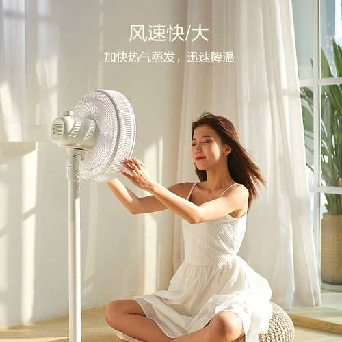 Midea Electric Fan Fan Fan Fan Fan Fan Fang Dormitory Sleasurrycore Corecore Cool Room сильная энергия, разжигающая энергия, низкому, noasted, широко расколотый встряхивающий заголовок Вертикаль