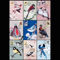 Pu 31 China Bird Stamp Extreme Postcard