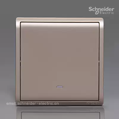 Schneider Fengshang indulge gold 20A bipolar switch light switch air-conditioning switch Bath switch