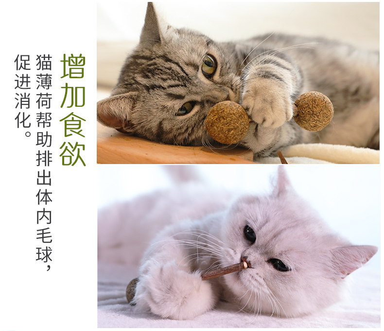 Catnip kẹo mút mèo mol mèo đồ chơi mèo vui mèo dính catnip bóng gỗ bọ cạp mèo cỏ mèo mèo ăn nhẹ thức ăn cho mèo con 2 tháng tuổi