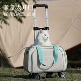 Портативный рюкзак для выхода на улицу, вместительная и большая космическая палатка для кемпинга, кот, домашний питомец