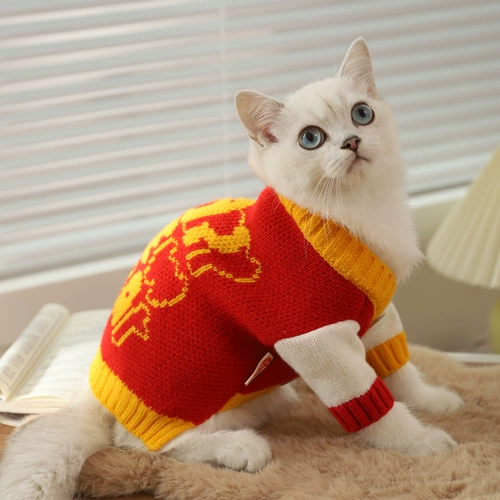 Удерживающий тепло зимний шнурок-держатель, демисезонный свитер