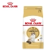 Royal Puppet dành cho người lớn mèo thức ăn cho mèo cưng 2kg mèo con mèo thức ăn cho mèo trưởng thành thức ăn cho mèo thức ăn chủ yếu là thức ăn cho mèo - Cat Staples