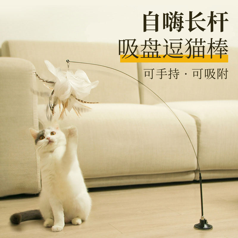 Cat toy Cat toy Cat toy Cat toy Cat toy Cat toy Cat toy Cat toy Cat toy Cat toy Cat toy Cat toy Cat toy Cat toy Cat toy Cat toy Cat toy Cat toy Cat toy Cat toy Cat toy Cat toy Cat toy Cat toy Cat toy Cat toy