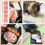 Кошачья группа, полоса маленького молока кошачья закуски котенок укуса