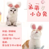 Милый шлем, шапка, аксессуар для волос, кролик, кот, домашний питомец