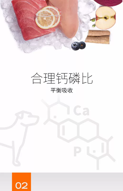 Bierji Fold Cat Food Cat Food Cat Main Food Low Salt Dinh dưỡng Tóc sáng Màu thấp Công thức nhạy cảm Pet Pet Thức ăn chính 2kg - Cat Staples