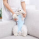 Cat sterilization clothing female cat surgical clothing clothes breathable milk weaning clothing weaning clothing male cat anti-licking postoperative pet cat