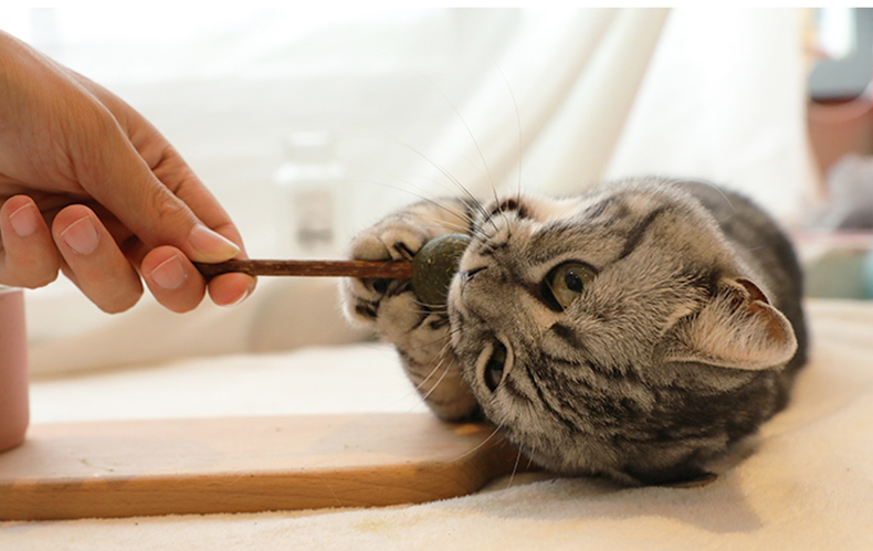 Catnip kẹo mút mèo mol mèo đồ chơi mèo vui mèo dính catnip bóng gỗ bọ cạp mèo cỏ mèo mèo ăn nhẹ thức ăn cho mèo con 2 tháng tuổi