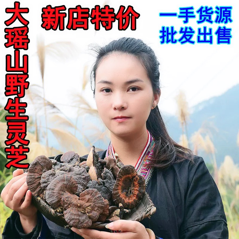 Guangxi Pure Wild Purple Lingzhi Black Lingzhi Cracked Spore Powder Whole Branches Little Lingzhi 500g can be sliced to powder