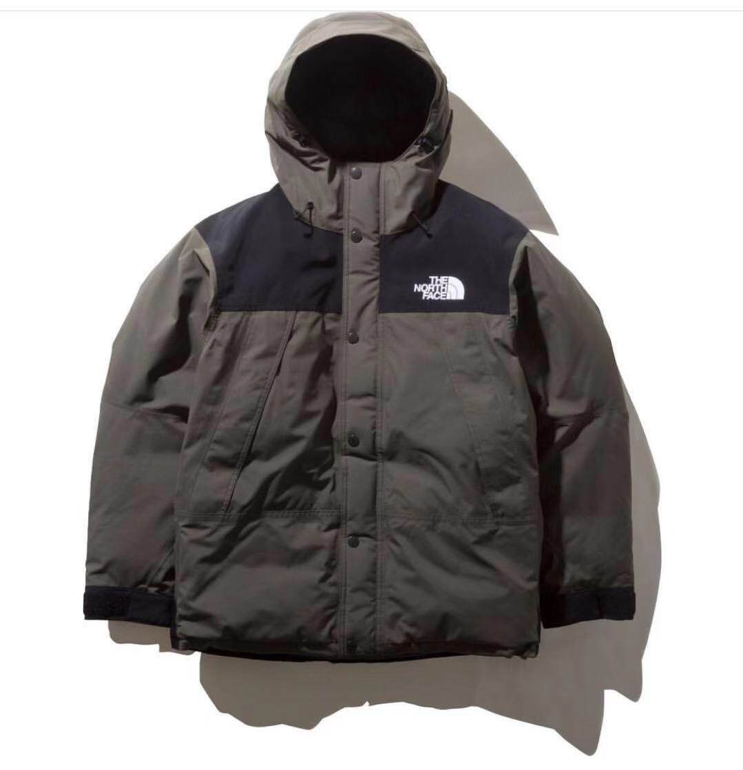 the north face mountain down coat