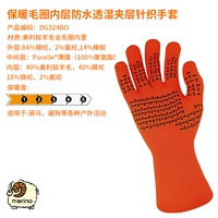 DG324 Orange